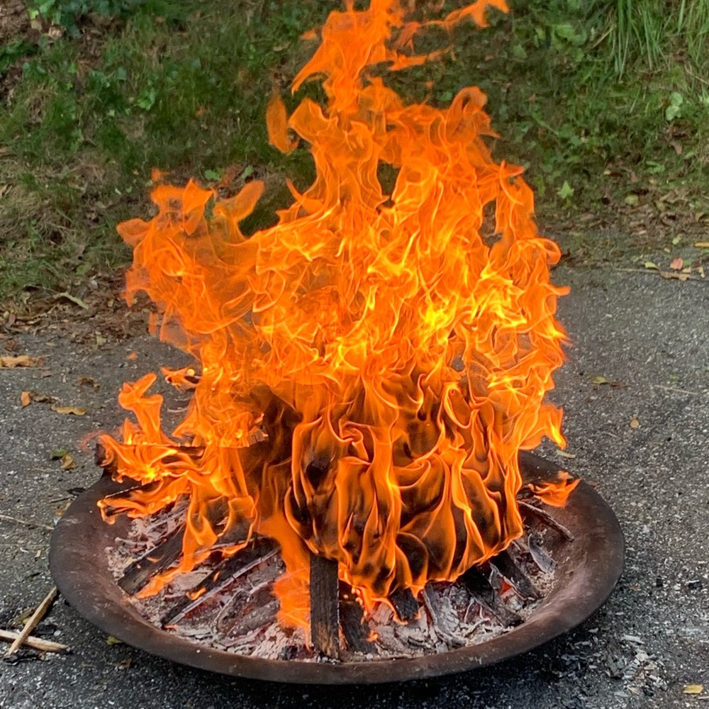 Meet your Posher, Steven